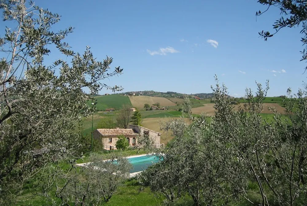 La Collina degli Ulivi montedinove