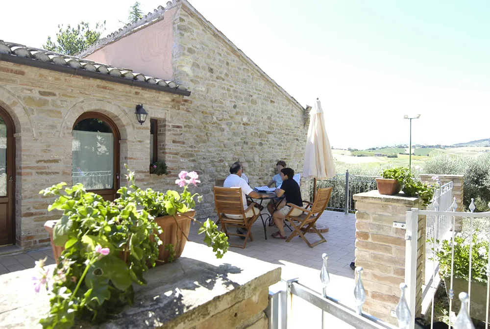 collina tra gli ulivi agriturismo terrazza