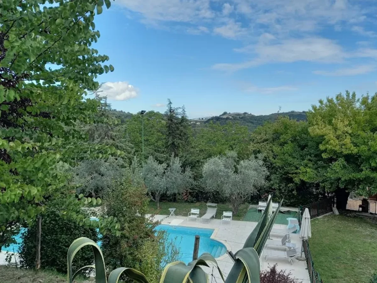 collina ulivi piscina